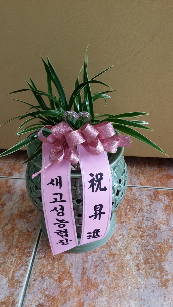 7��31��(�����)