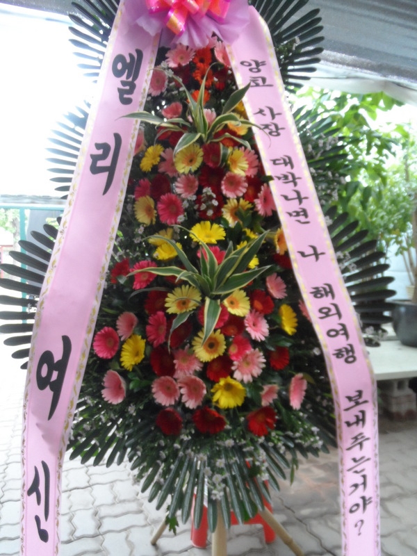 8��4��(������)