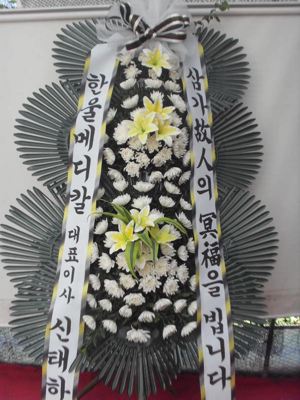 8��4��(������)