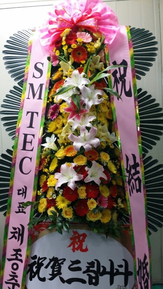 8��4��(������)