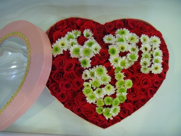 8��4��(������)