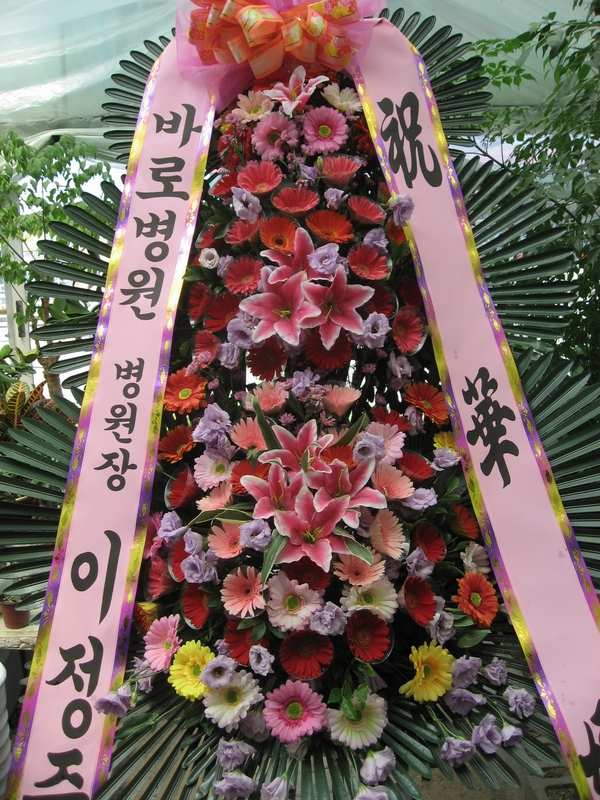 8��4��(������)