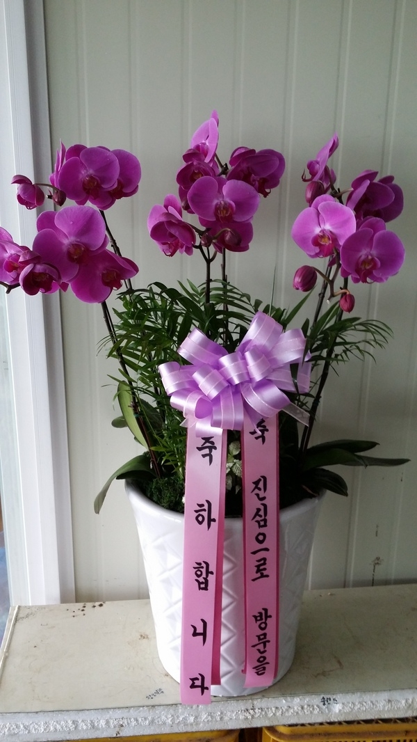 8��4��(������)