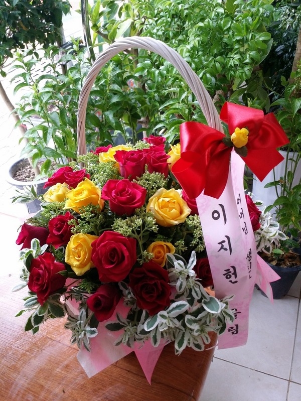 8��4��(������)