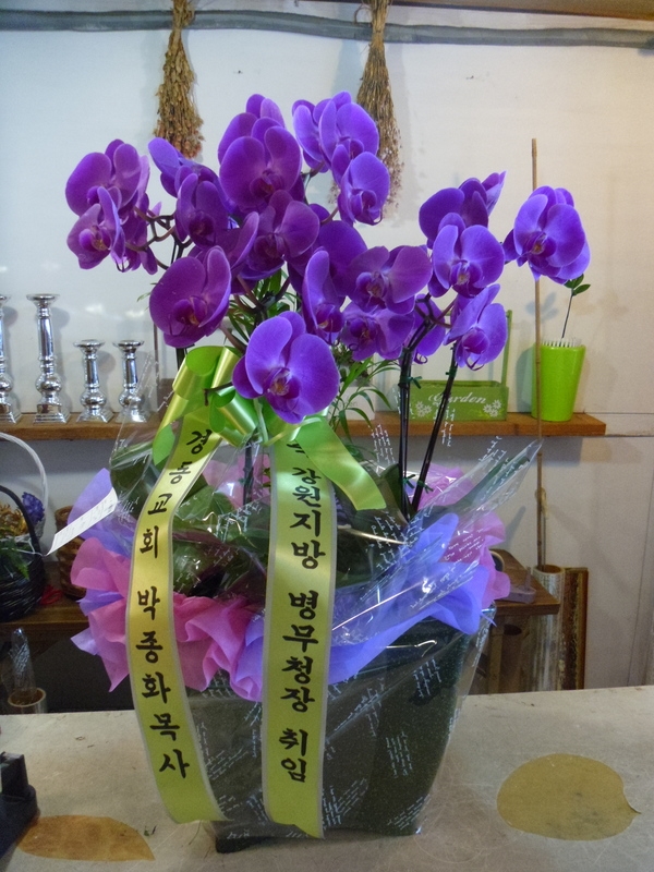 8��4��(������)