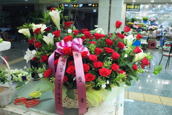 8��4��(������)