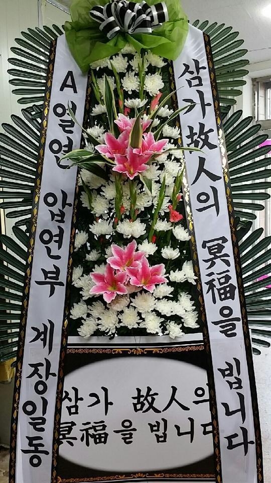 8��15��(�ݿ���)