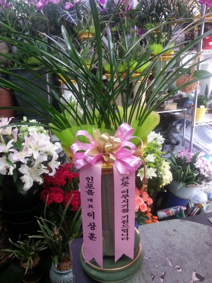 8��15��(�ݿ���)