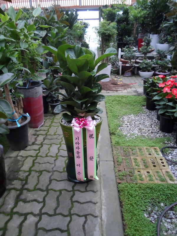 8��15��(�ݿ���)