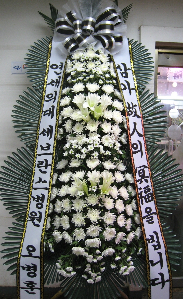 8��15��(�ݿ���)