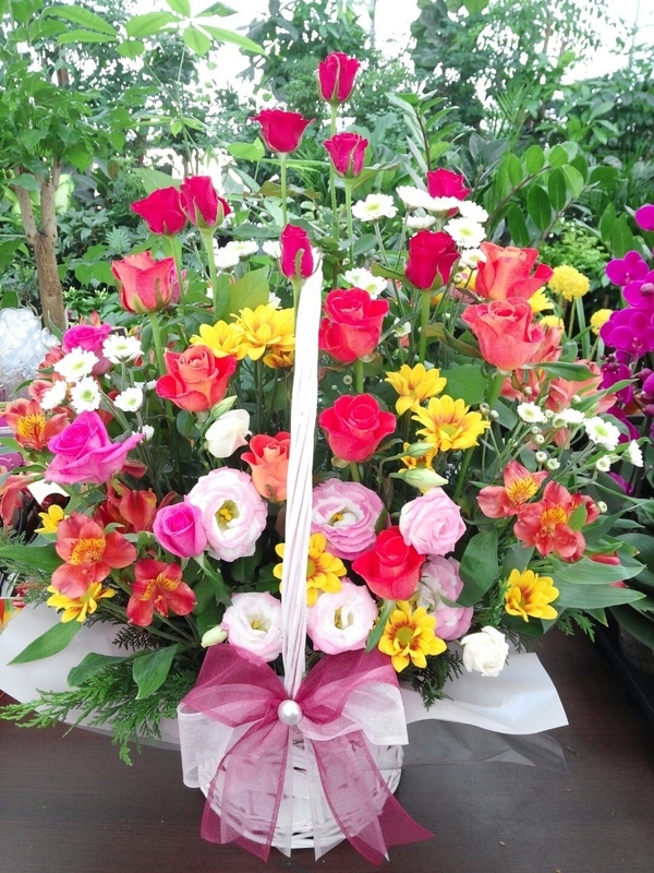 8��15��(�ݿ���)