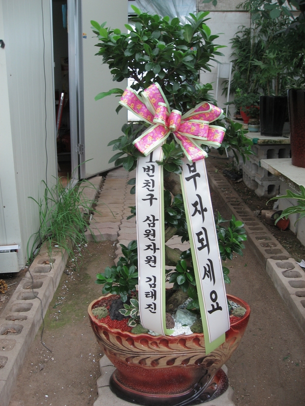 8��15��(�ݿ���)