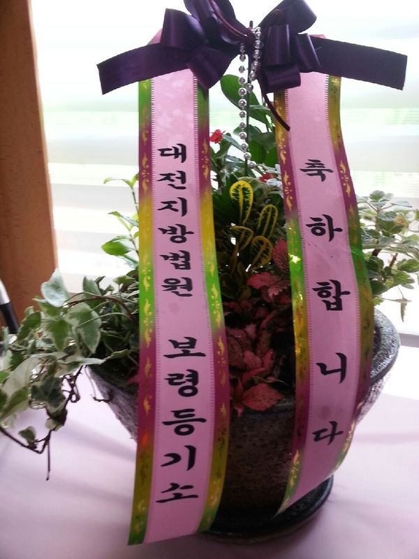 8��26��(ȭ����)