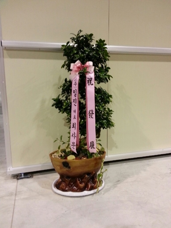 8��26��(ȭ����)