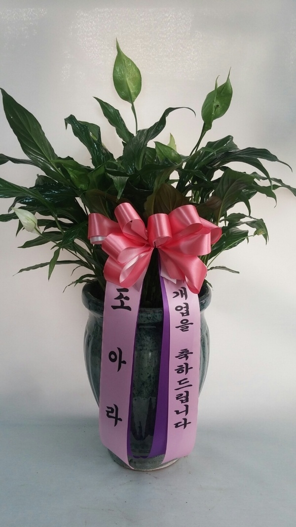 8��26��(ȭ����)