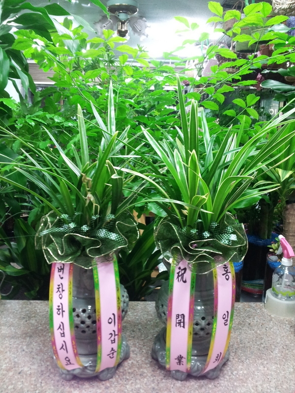 8��26��(ȭ����)