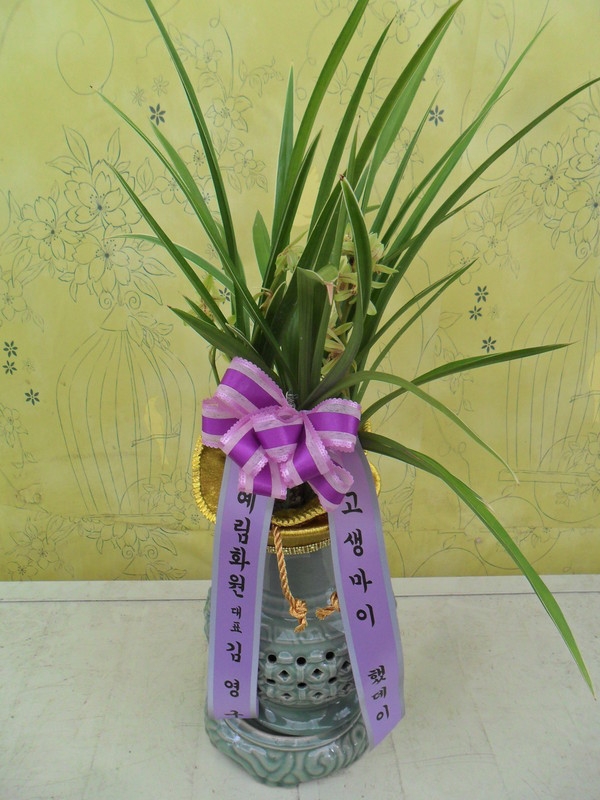 9��1��(������)�������λ��̵�