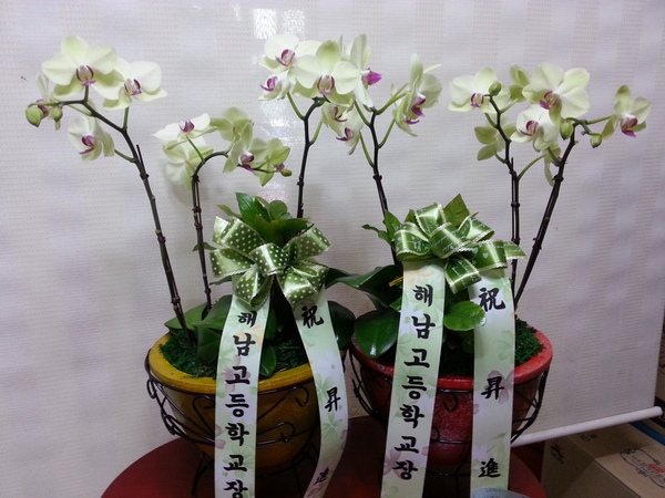 9��1��(������)�������λ��̵�