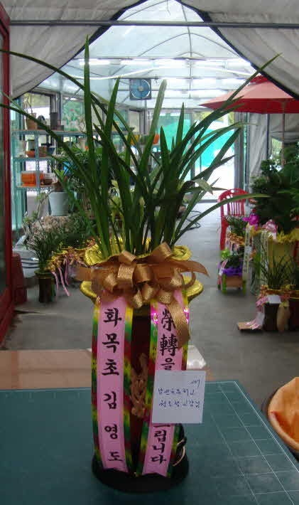 9��1��(������)�������λ��̵�