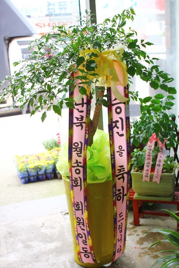 9��1��(������)�������λ��̵�