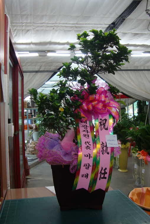 9��1��(������)�������λ��̵�