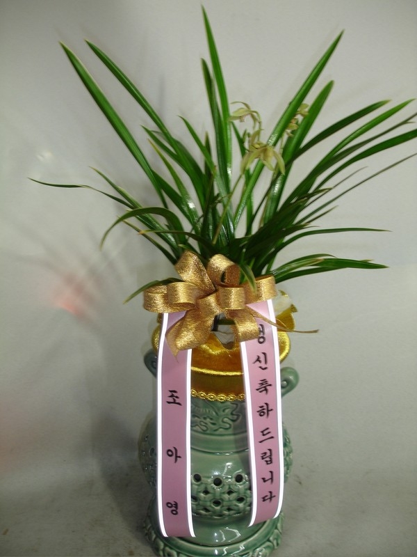 9��1��(������)�������λ��̵�