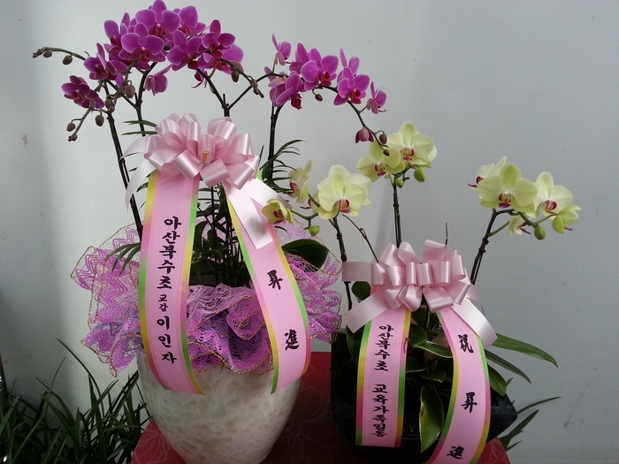 9��11��[�����]