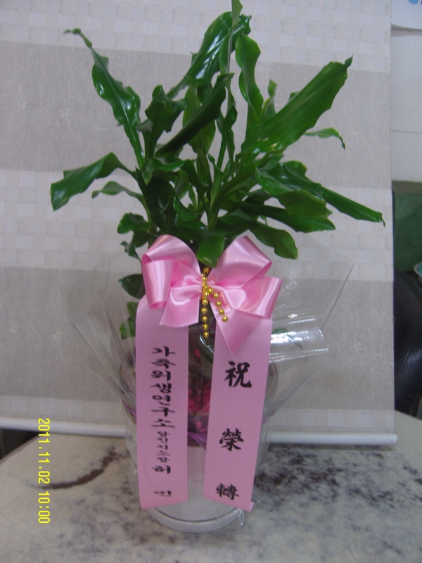 9��11��[�����]