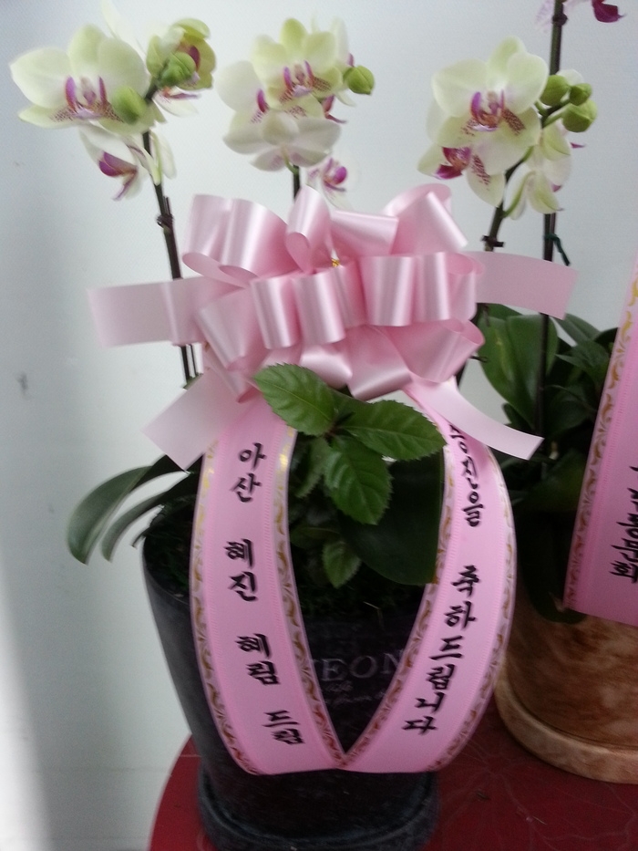 9��11��[�����]