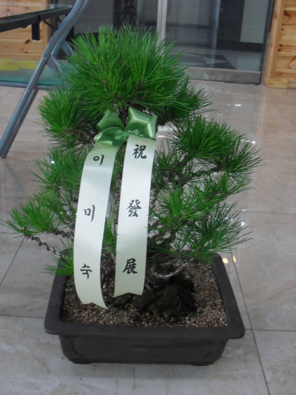 9��11��[�����]