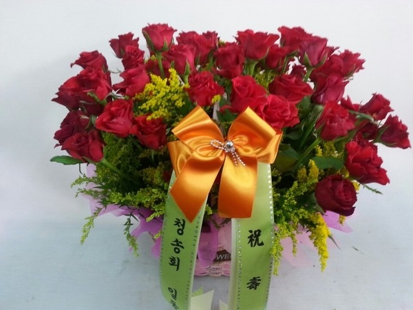 9��11��[�����]