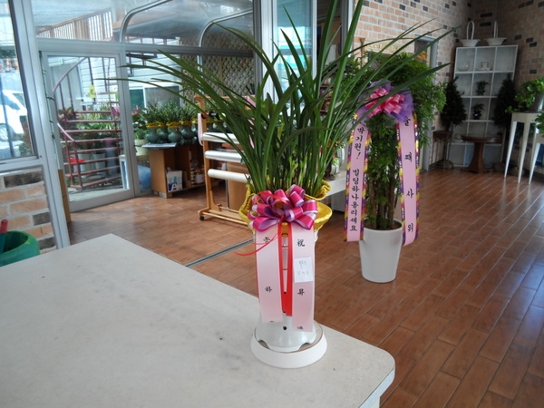 9��25��(�����)