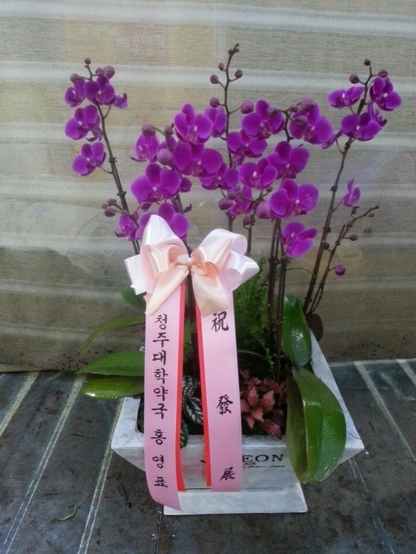 9��25��(�����)