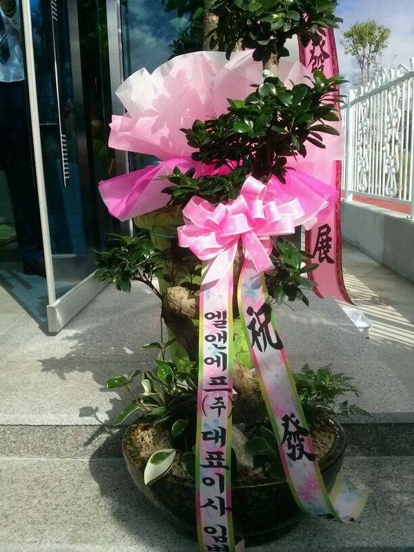 9��25��(�����)