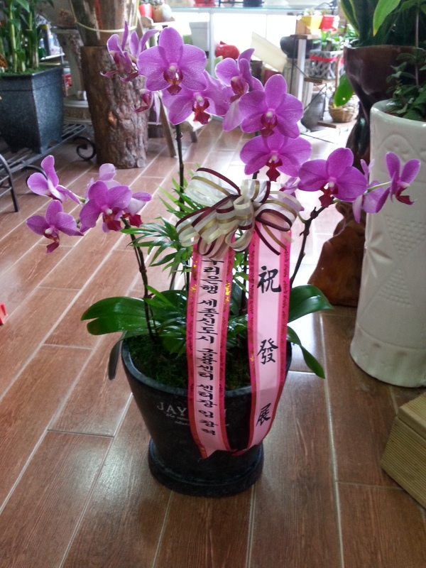 10��6��(������)