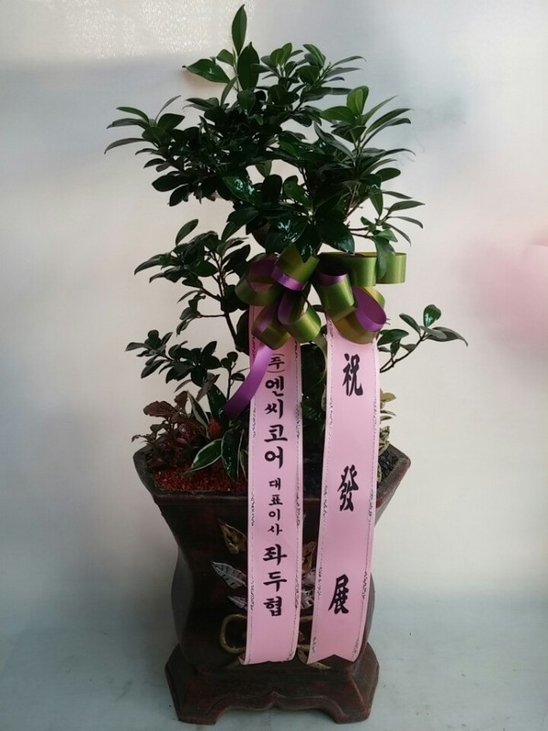 10��6��(������)