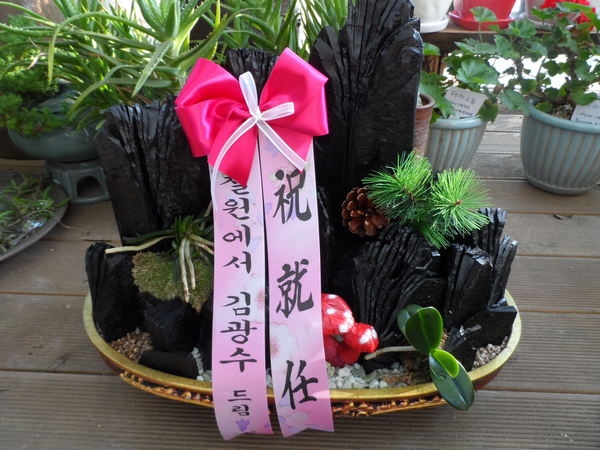 10��6��(������)