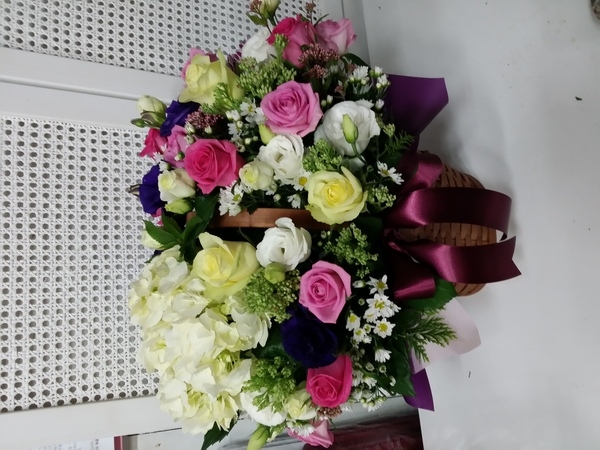 10��6��(������)