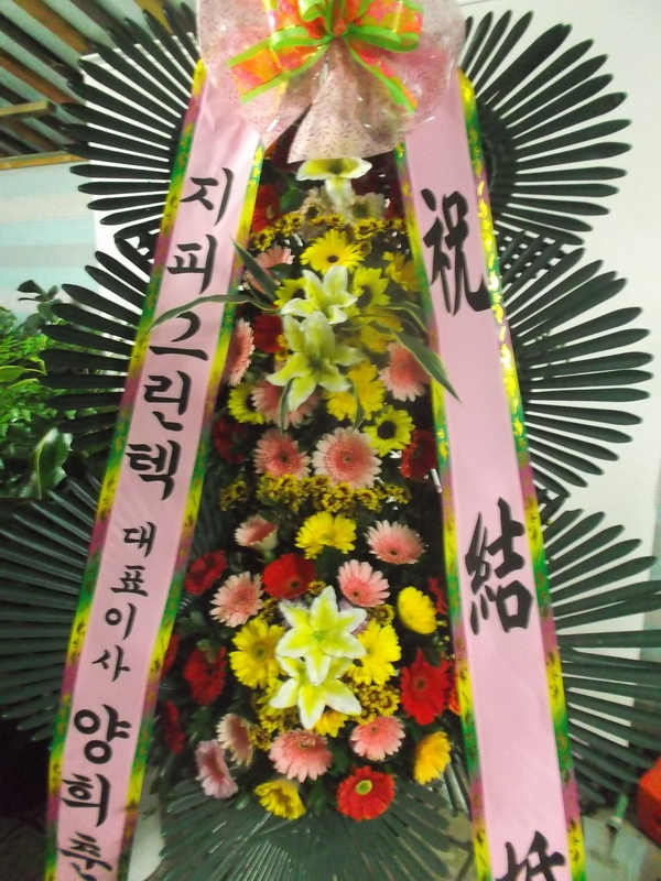 10��10��(�ݿ���)