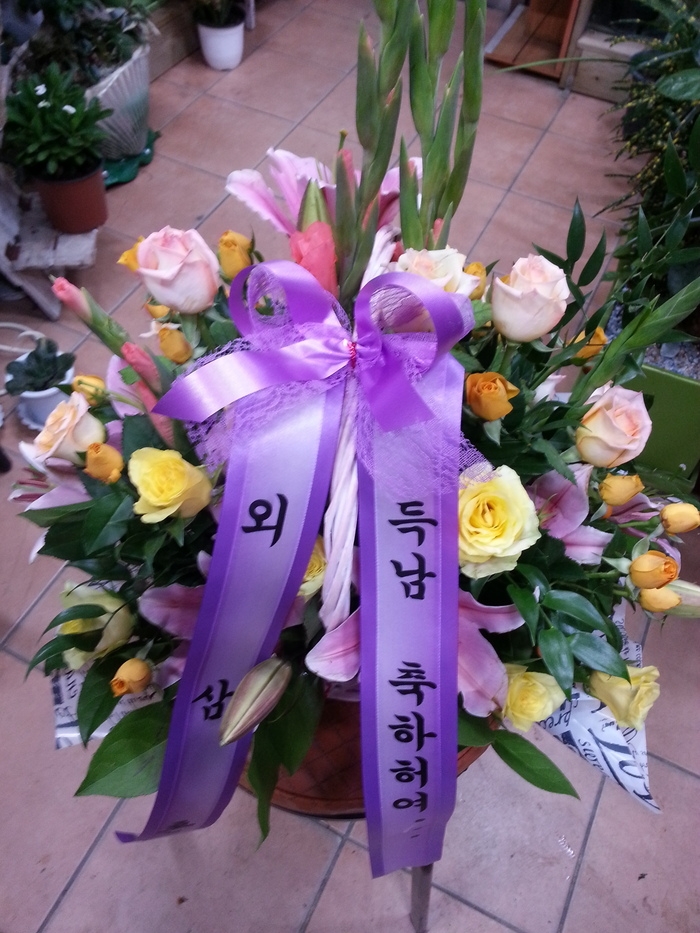 10��10��(�ݿ���)