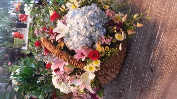 10��10��(�ݿ���)