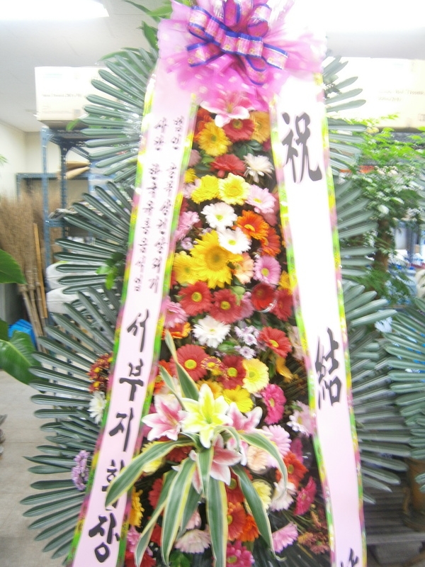 10��10��(�ݿ���)