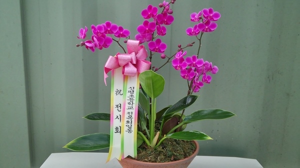 10��10��(�ݿ���)