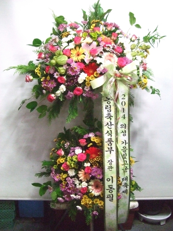 10��10��(�ݿ���)