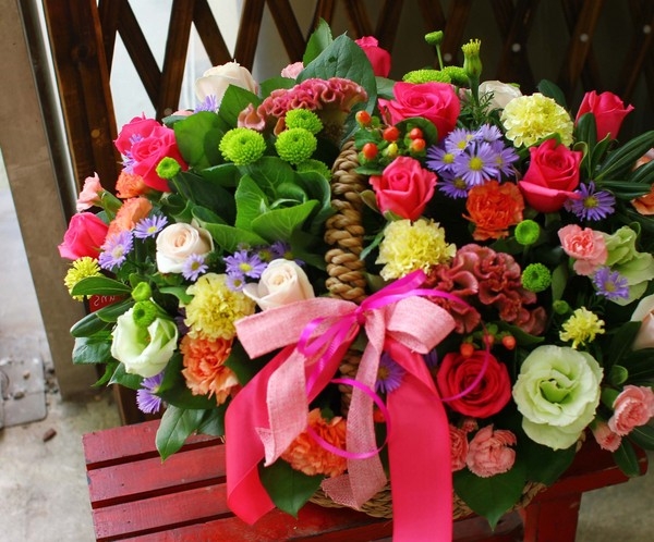 10��10��(�ݿ���)