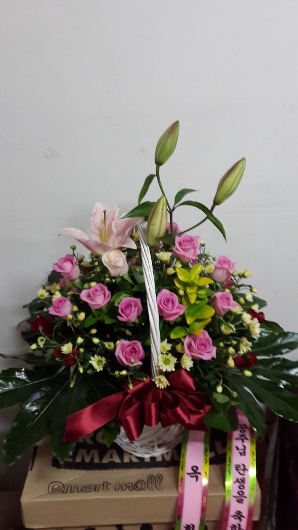 10��10��(�ݿ���)