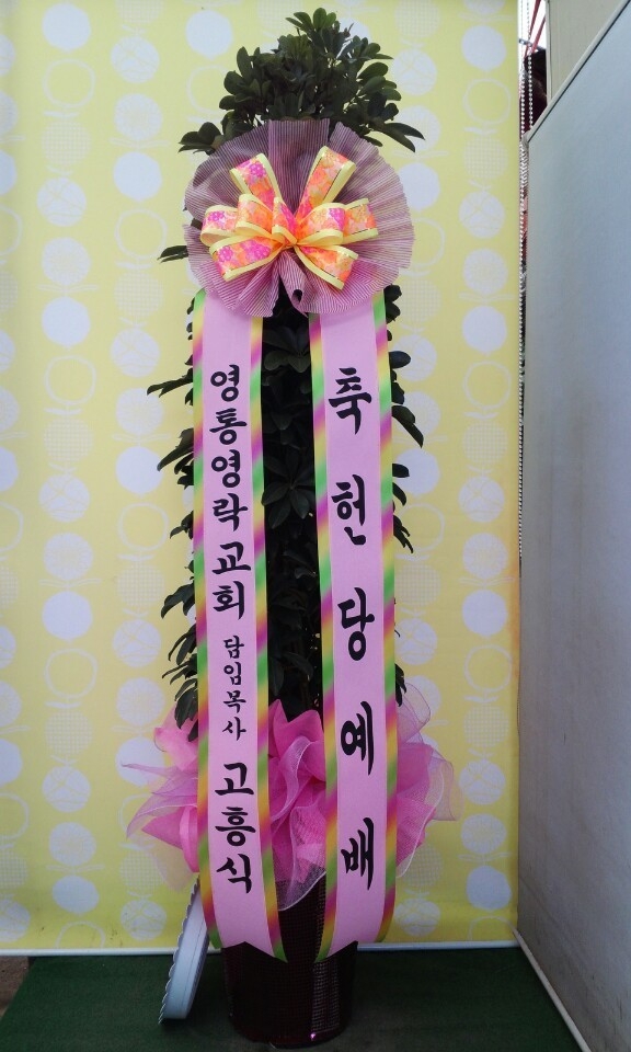 10��10��(�ݿ���)