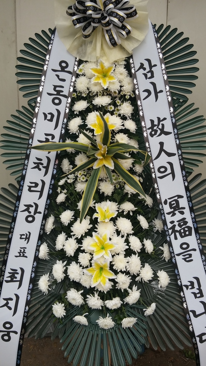 10��18��(�����)