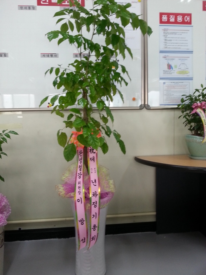 10��18��(�����)