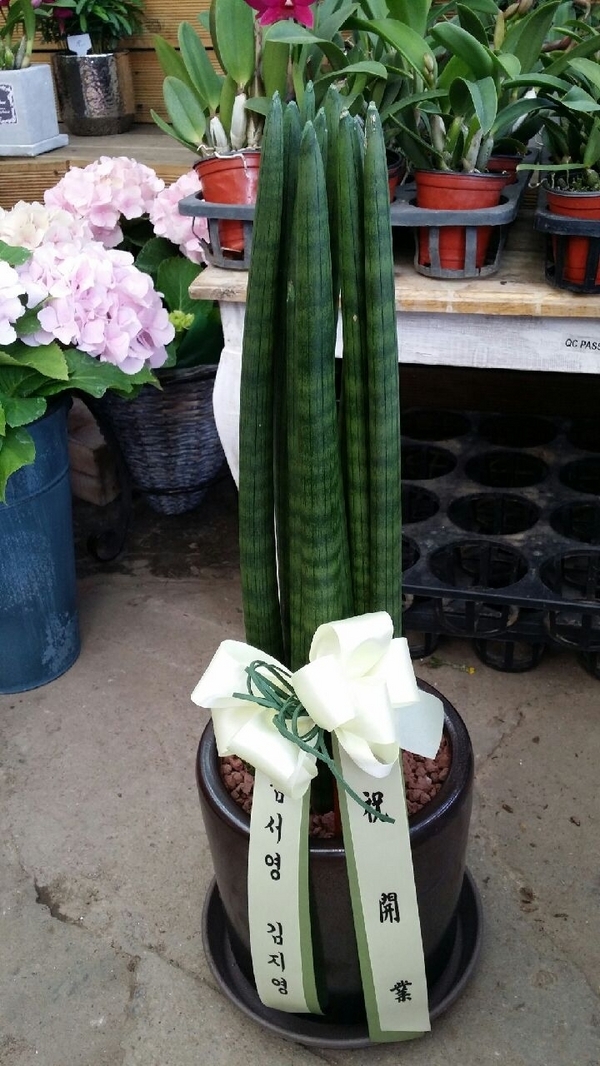 10��21��(ȭ����)